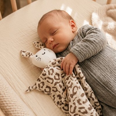 Doudou bebe endormi securise 