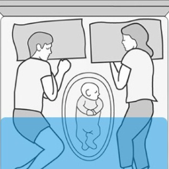 reducteur de lit motif elephant bien securise